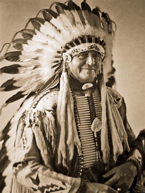 Brulé Chief Luther Standing Bear Native American Beauty Native