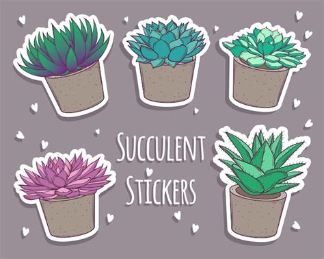 Premium Vector Set Of Cartoon Succulents Stickers Cute Stickers Or