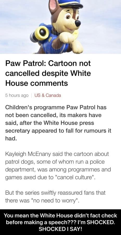 Paw Patrol Cartoon Not Cancelled Despite White House Comments 5 Hours