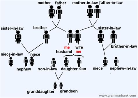 A family tree, also called a genealogy or a pedigree chart, is a chart representing family relationships in a conventional tree structure. Family Tree Relationship Names in English