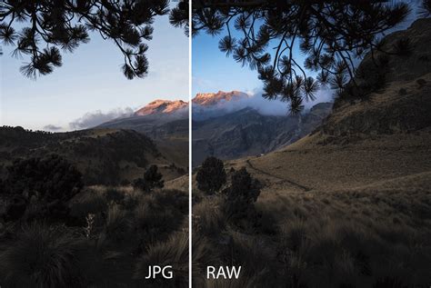Detailed Guide How To Take Raw Photos On Iphone 11121314