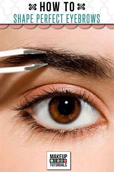 diy makeup how to shape perfect eyebrows the best guide for beginners beauty tips and tricks