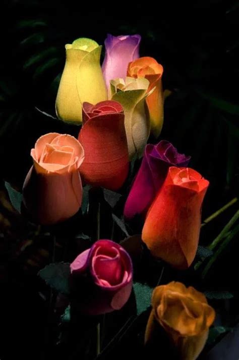Hermosas Rosa Flores Para Perfil De Whatsapp Perfil Imagenes De
