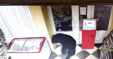 В Краснодарском крае вооруженный грабитель в маске за одну ночь ограбил две АЗС видео