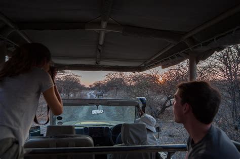 Onguma Sundowner Drive Join Up Safaris