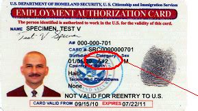 While the employment authorization card (otherwise known as a work permit) and the green card share similar physical characteristics, they are very different in practice. USCIS Announces Work Authorization Available for Certain H-4 Spouses | Badmus & Associates
