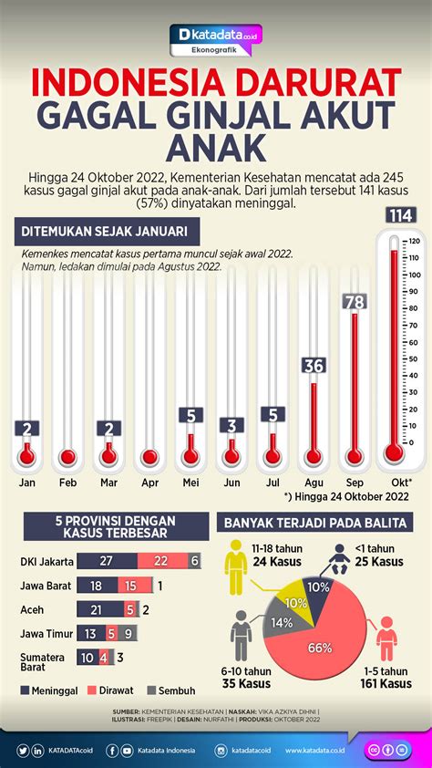 Infografik Kasus Dbd Di Indonesia Indonesia
