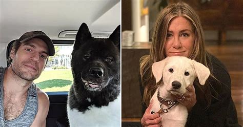 10 Wholesome Pics Of Celebrities With Their Dogs