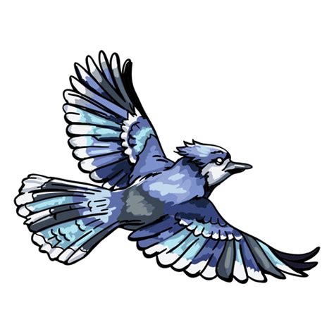 Dibujado A Mano Realista Blue Jay Volando Descargar Pngsvg Transparente