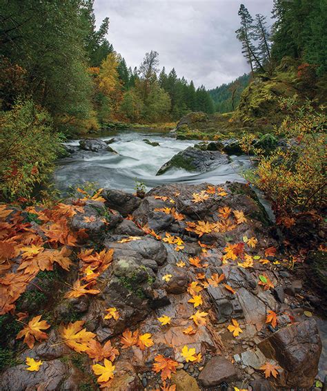 Uo students should try /r/uofo. Finding Fall In & Around Eugene, Oregon - Northwest Travel ...