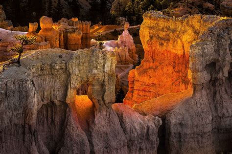 Bryce Canyon National Park Utah Wallpaper Hd Nature 4k Wallpapers