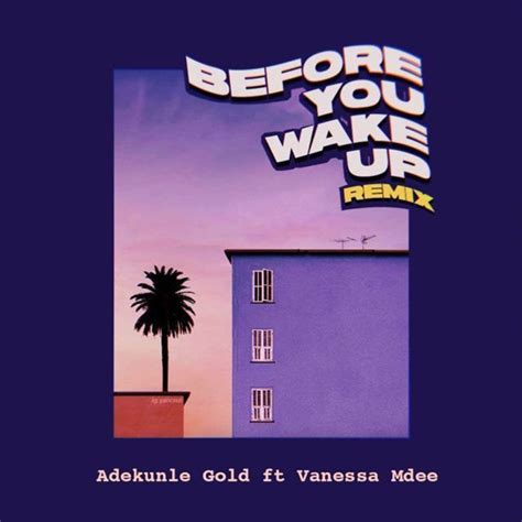 Adekunle Gold Before You Wake Up Remix Ft Vanessa Mdee