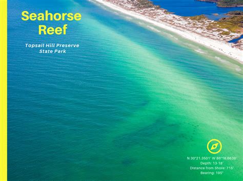Your Complete Guide To South Walton Reefs Ocean Reef Resorts