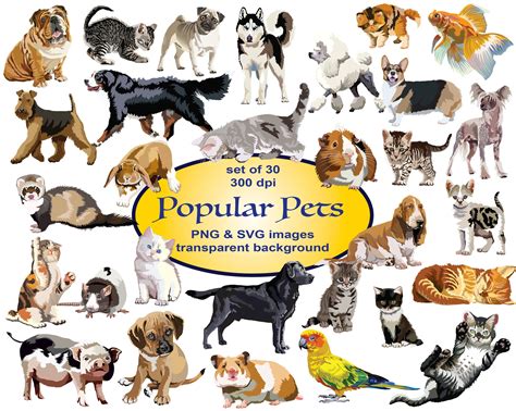Popular Pets Clipart SVG Clipart Animals Clipart Dogs | Etsy | Animal clipart, Cat clipart, Cute 