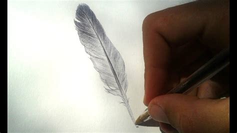 drawing a feather dibujando una pluma youtube