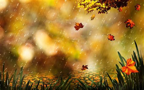Fall Weather Wallpapers Top Free Fall Weather Backgrounds