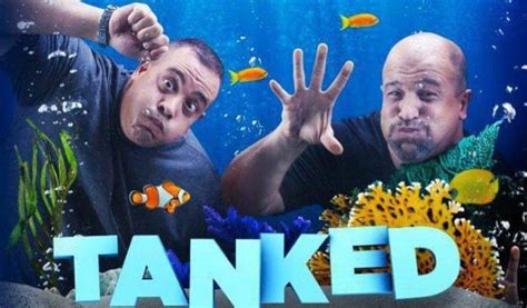 Tanked Season 12 Of Aquarium Series Coming To Animal