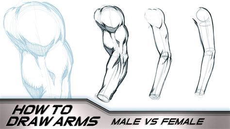 How To Draw Arms Male Vs Female By Robert Marzullo