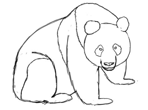 Realistic Panda Drawing At Getdrawings Free Download