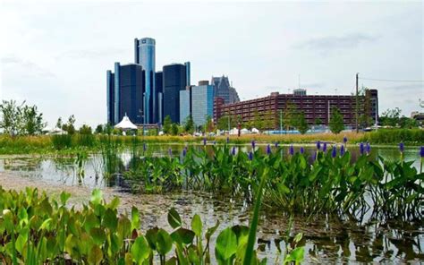How Detroit Is Becoming A Leader In Green Infrastructure