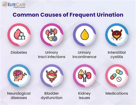 Causes Of Frequent Urination And Treatments Elitecare Hc