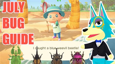 New Bugs For July Animal Crossing New Horizons Guide Youtube