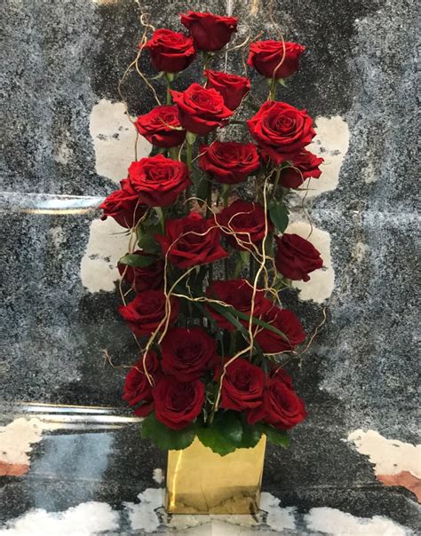 Fort lauderdale par type d'hôtel. Red Rose Elegance in Fort Lauderdale, FL | Victoria Park ...