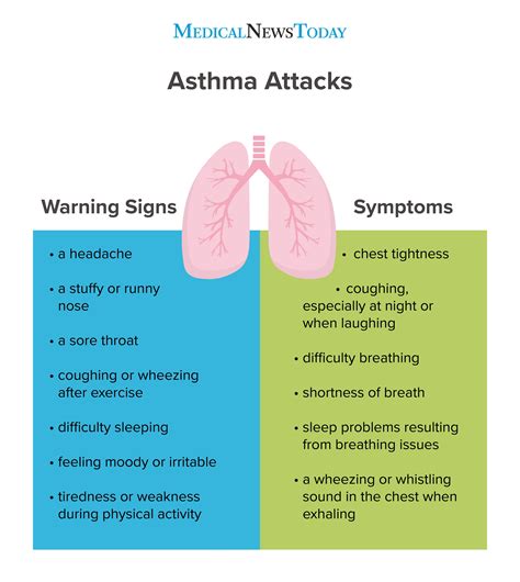 Causes And Effect Of Allergies And Asthma Emracuk