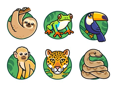 Rainforest Animals Rainforest Animals Rainforest Illustration