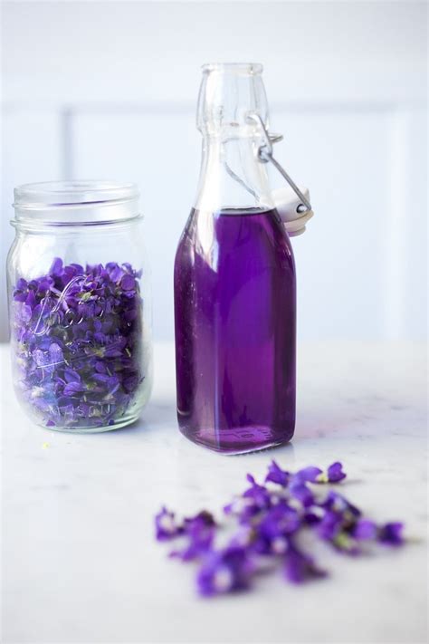 Violet Flower Essence Recipe Best Flower Site