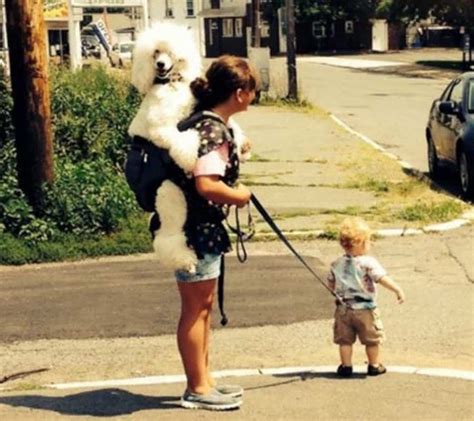 Unbelievable Parenting Fails That Will Make You Feel Better About