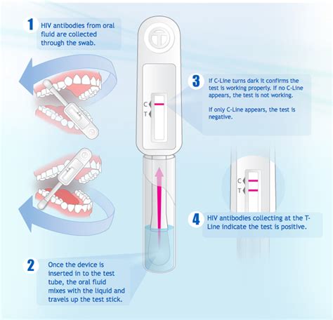 The appendix is a small pouch. OraQuick Home HIV Test Kit
