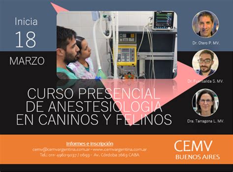 Curso Presencial De Anestesiología En Caninos Y Felinos Cemv Argentina