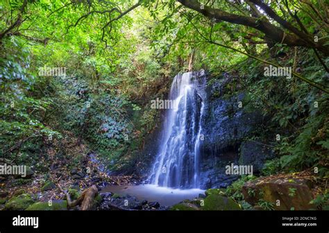 New Zealand Waterfall Stock Photo Alamy