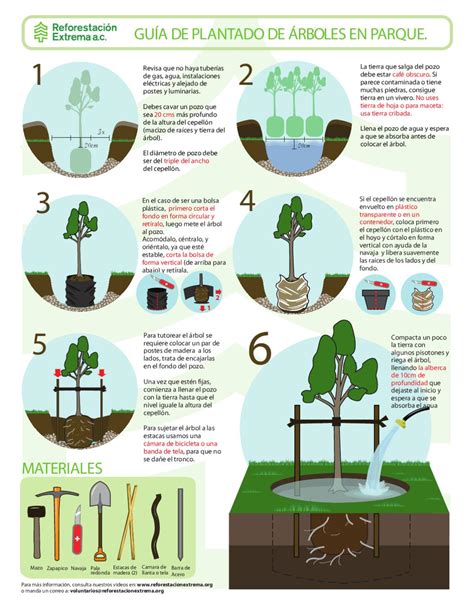 Manual De Plantado By Reforestacion Extrema Issuu