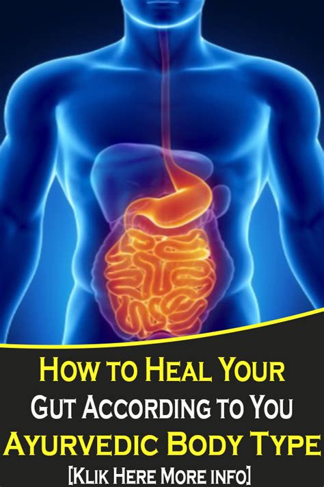 In indian ayurveda, there are mainly three types of body types—vata, pitta & kapha. How to Heal Your Gut According to You Ayurvedic Body Type ...