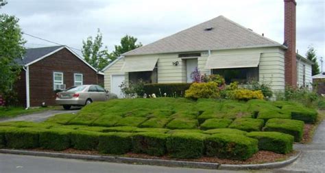 16 Spectacular Good Bushes For Front Of House Lentine Marine