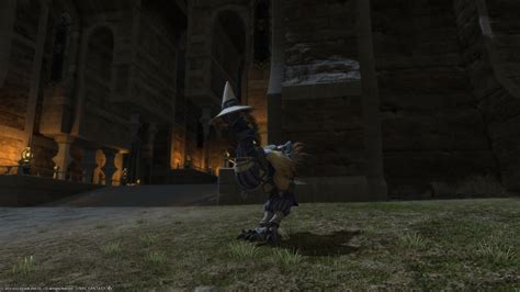 How To Get Chocobo Armor Barding And Equipment In Final Fantasy Xiv