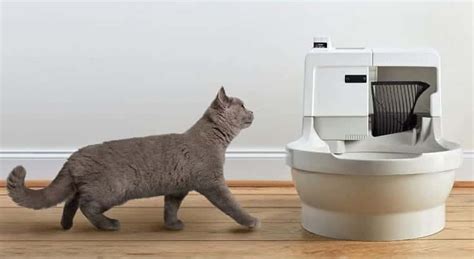Catgenie Litter Box Review 2024 Our Experts Opinion Catster