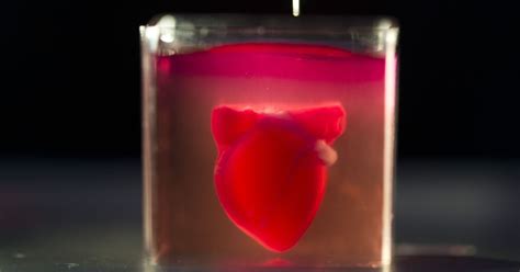 Israeli Scientists Build Worlds 1st 3d Printed Human Heart And More