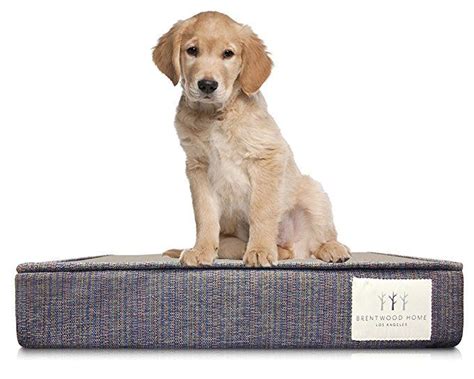 Brentwood Home Griffith Pet Bed Orthopedic Gel Memory