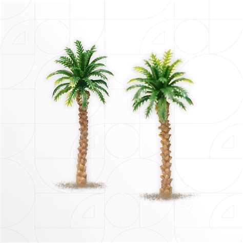Sabal Palm Tree 7 Cm 2pcs Croco