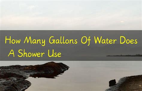 How Many Gallons Of Water Does A Shower Use