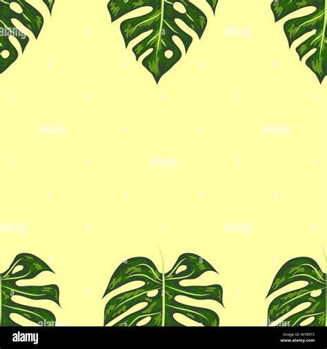 Seamless Bright Artistic Tropical Pattern With Monstera Modern