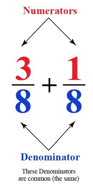 Denominator Definition Examples And Solved Solutions Cuemath