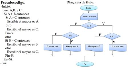 Ejemplos De Algoritmos