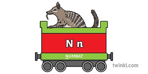 Numbat In A Carriage Png Illustration Twinkl