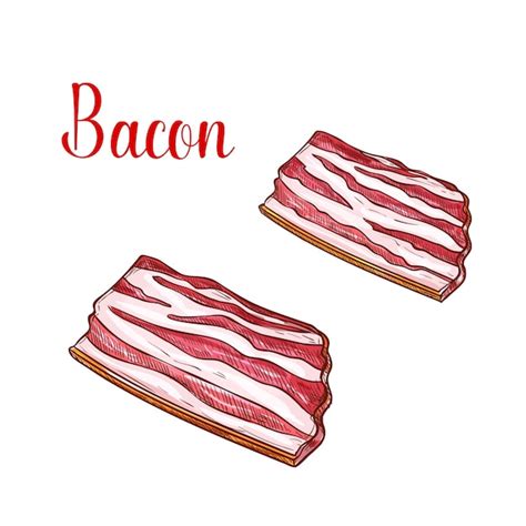 Premium Vector Vector Sketch Bacon Fresh Butchery Meat Icon