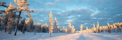 Snowy Panoramic Landscape At Sunset Frozen Trees In Winter In