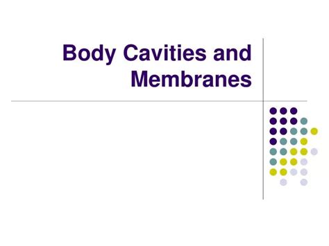 Ppt Body Cavities And Membranes Powerpoint Presentation Free